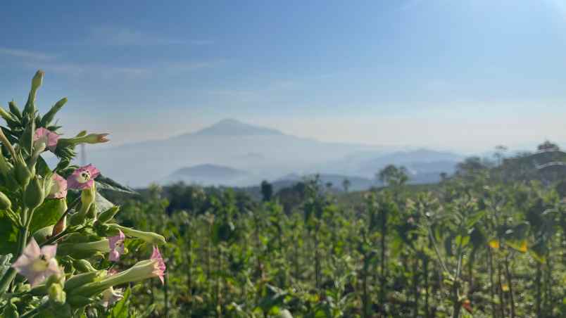 dijual tanah sumedang selatan