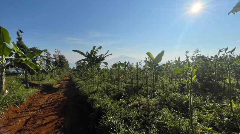 dijual tanah sumedang selatan