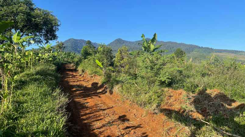 dijual tanah sumedang selatan