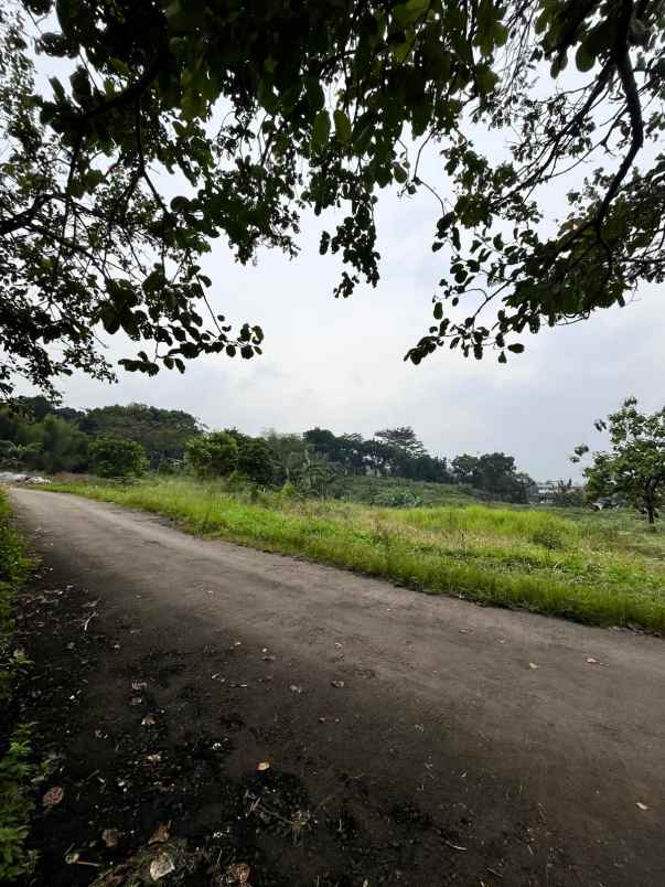 dijual tanah tangkil kec citereup