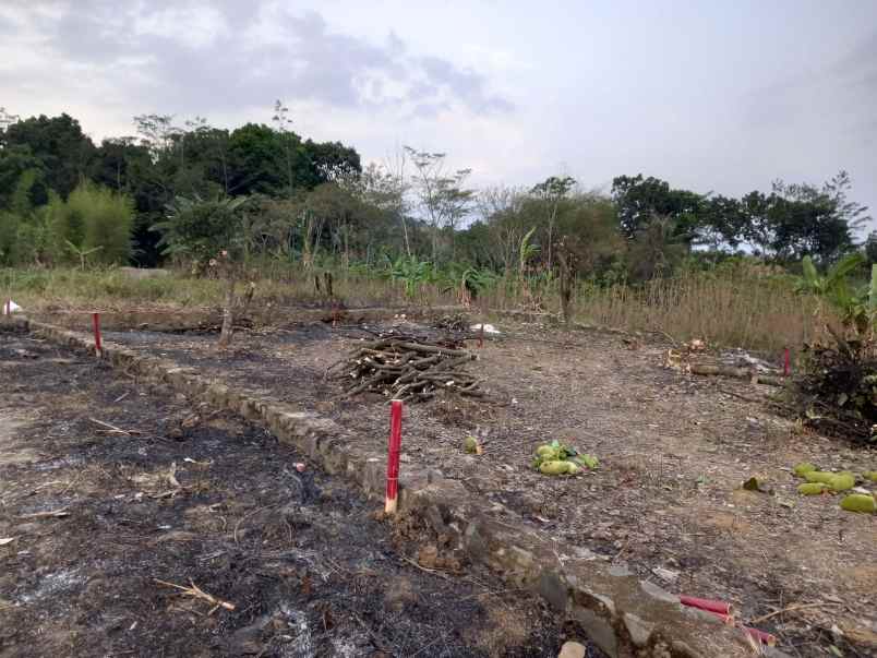 dijual tanah tangkil kec citereup