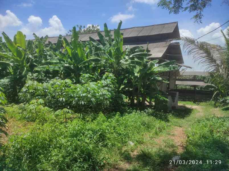 dijual tanah tegal bunder kec