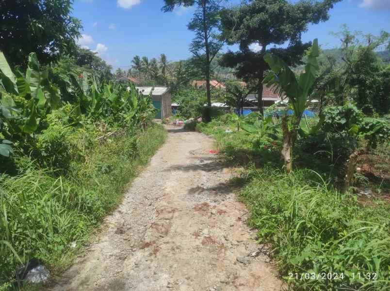 dijual tanah tegal bunder kec