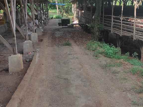 dijual tanah tegal bunder kec