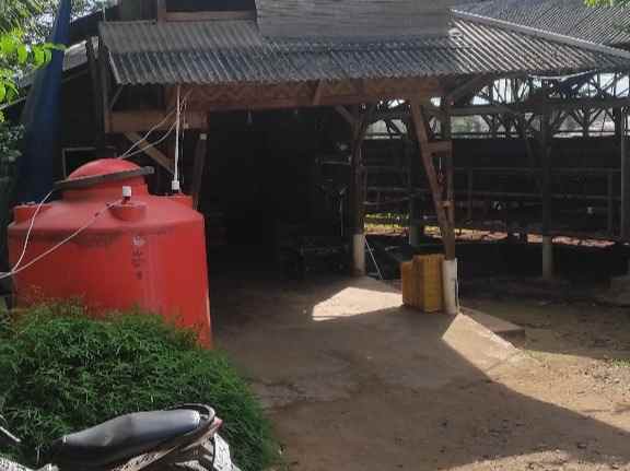 dijual tanah tegal bunder kec