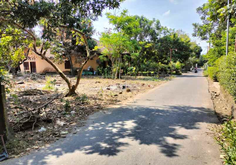 dijual tanah tegal tirto