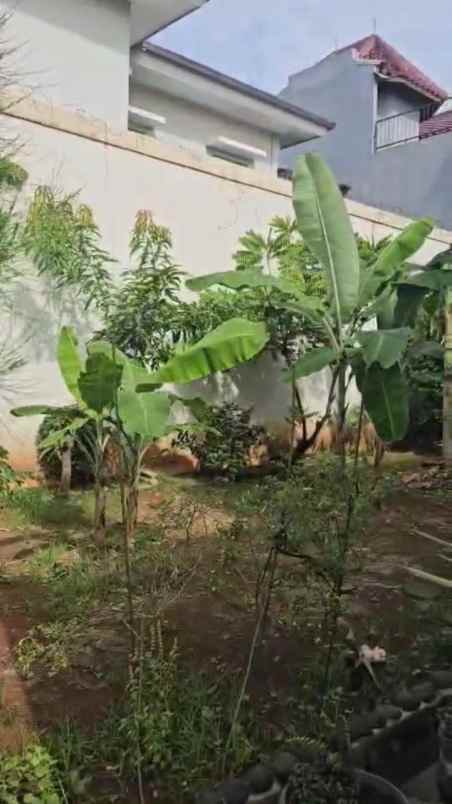 dijual tanah teluk ambon pondok bambu