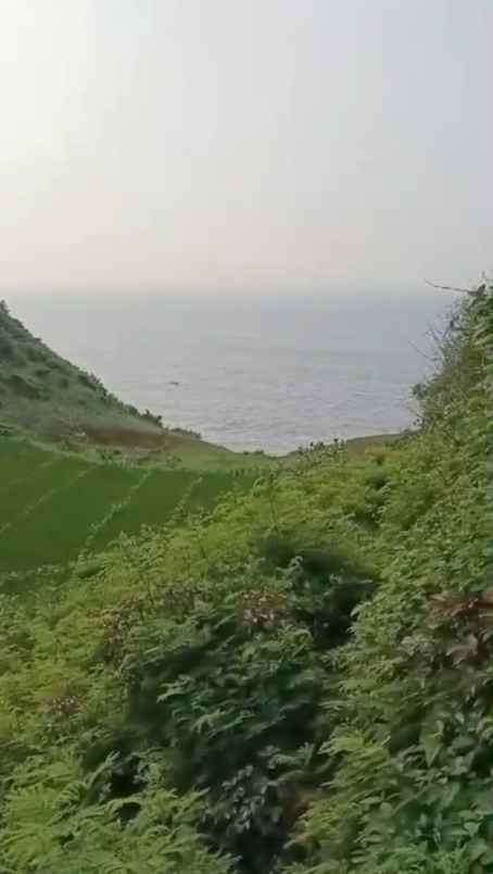 dijual tanah tepi laut kijingan yogyakarta