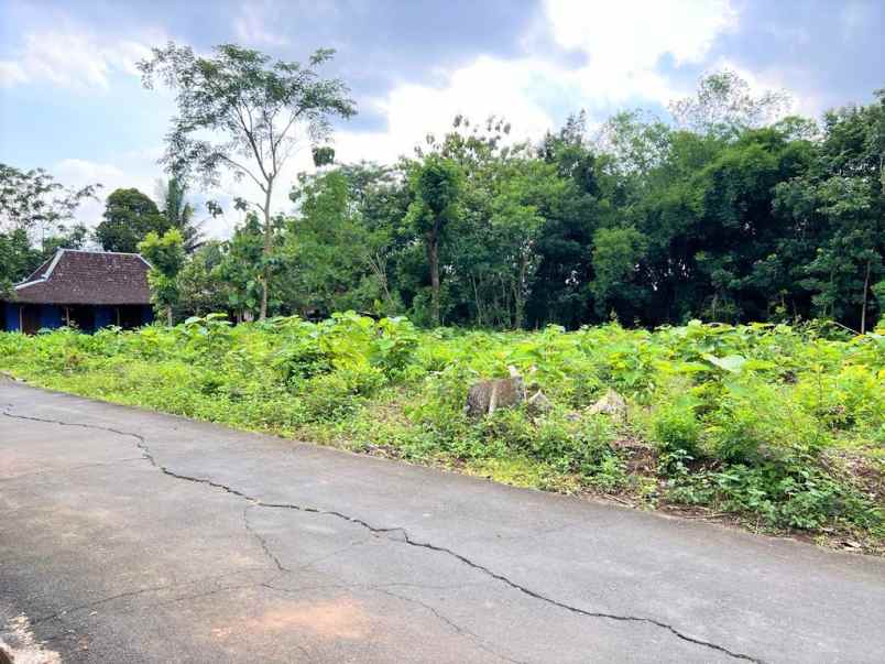 dijual tanah timur pasar jambangan