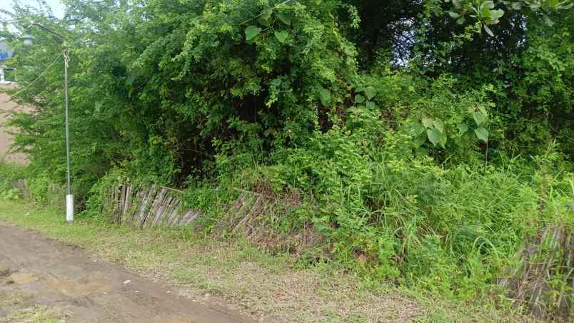 dijual tanah tlogobiru