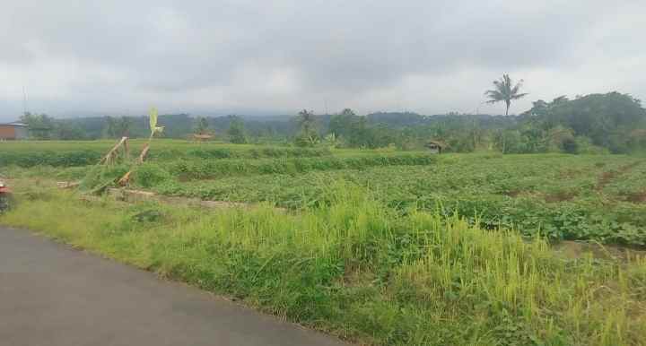 dijual tanah view gunung