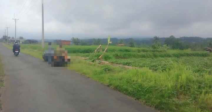 dijual tanah view gunung