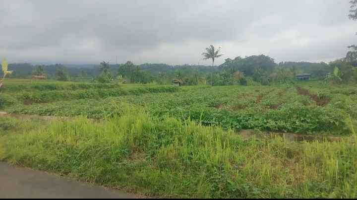 dijual tanah view gunung