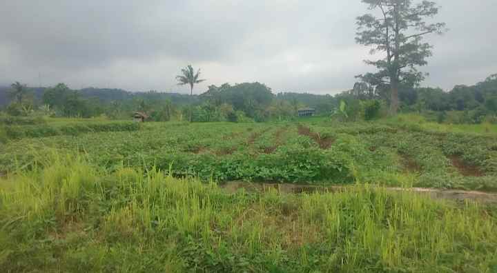 dijual tanah view gunung