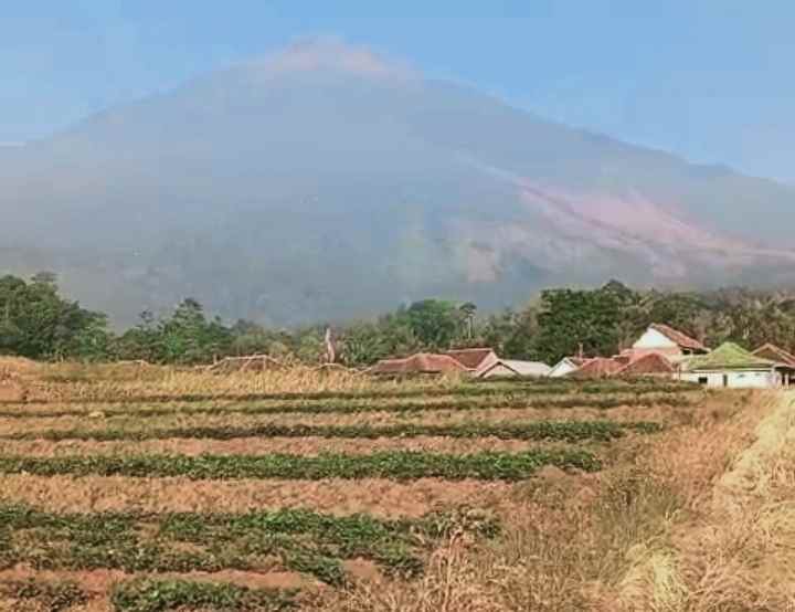 dijual tanah view gunung