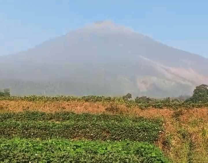 dijual tanah view gunung
