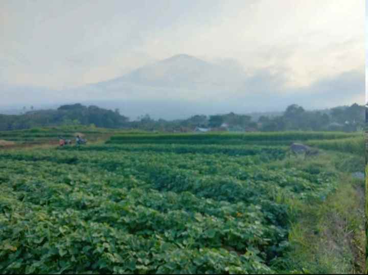 dijual tanah view gunung