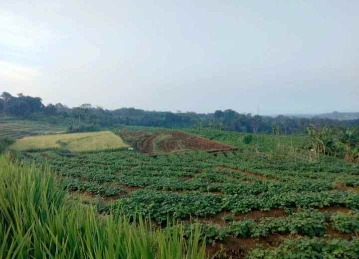 dijual tanah view gunung