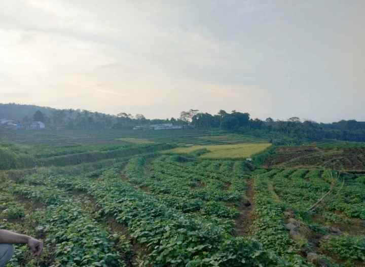 dijual tanah view gunung