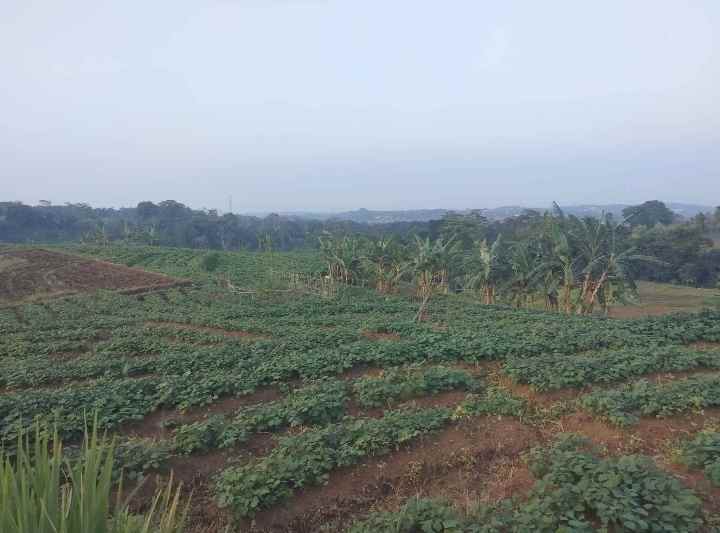 dijual tanah view gunung