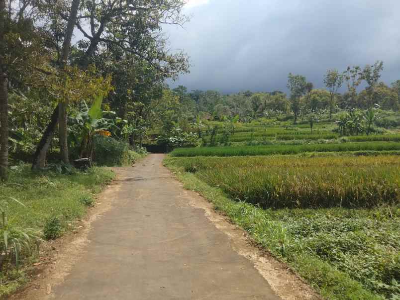 dijual tanah view gunung dan sawah