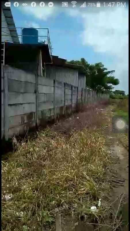 dijual tanah widang