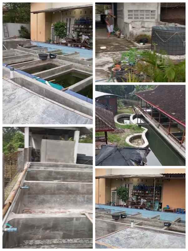 dijual tanah wisata janti
