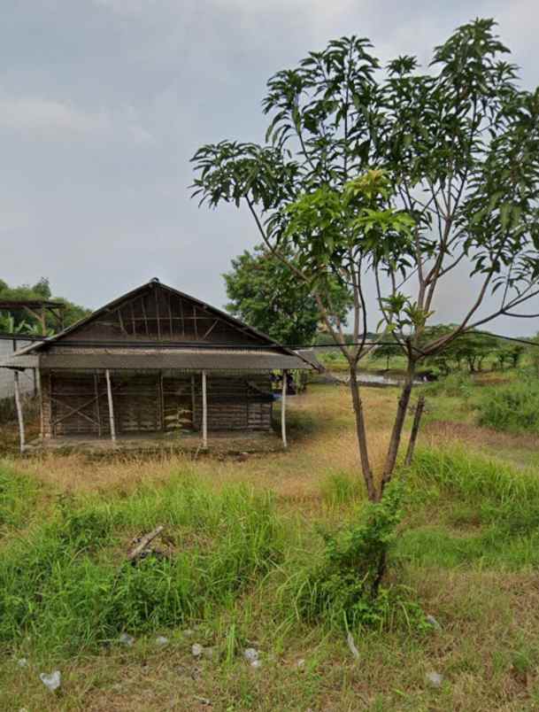 dijual tanah wringinanom gresik