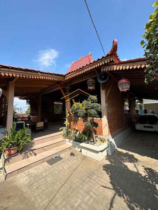 joglo jawa klasik di pakem sleman tanah luas banget