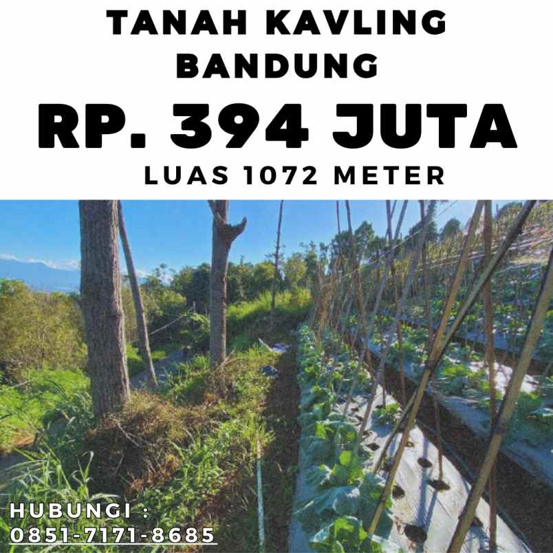 jual kebun durian produktif bogor