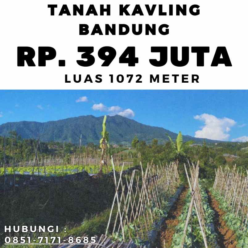 jual kebun durian produktif bogor