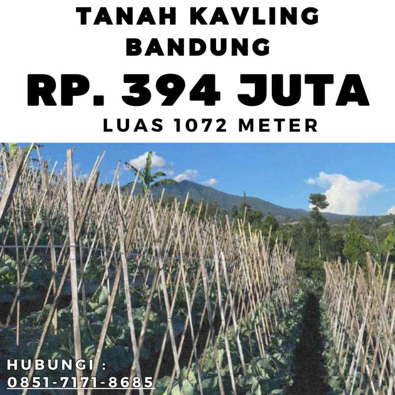 jual kebun durian produktif bogor