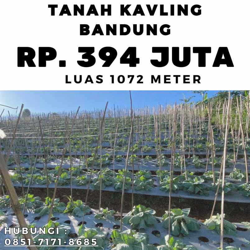 jual kebun durian produktif bogor