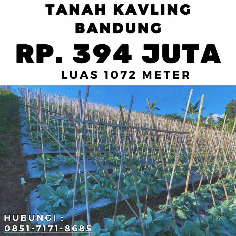 jual kebun durian produktif bogor