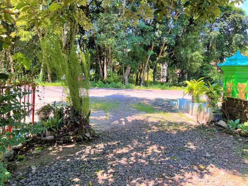 jual rumah tepi jl raya batujamus jambangan sragen