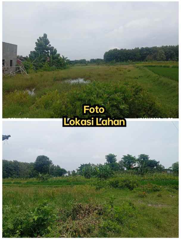 lahan 5 4ha untuk perumahan 400rb m2 dekat kota solo