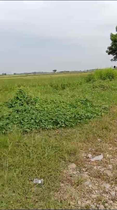 lahan rata dan bagus non produktiv