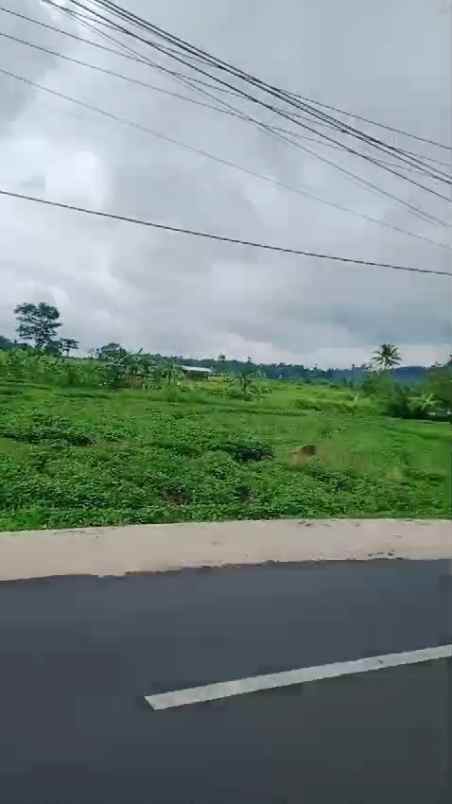 lahan strategis dan rata dekat kawasan wisata