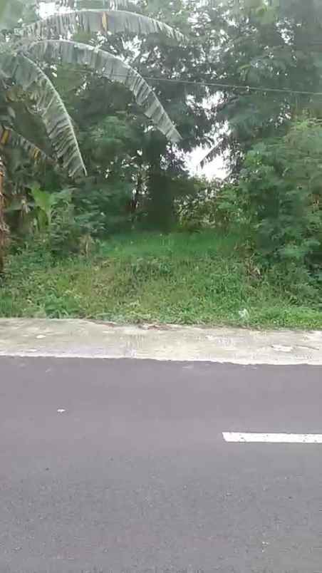 lahan strategis dan rata dekat kawasan wisata