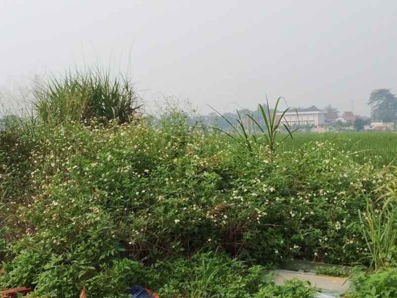 lokasi strategis cimahi kamarung