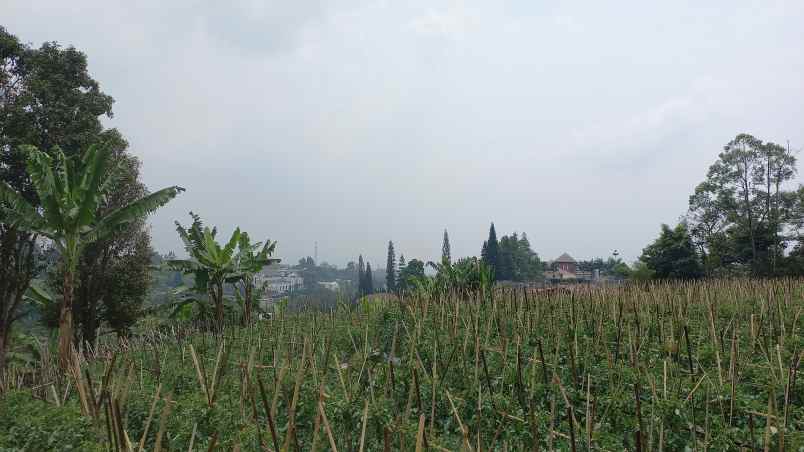 murahhh harga dibawah pasar kavling setiabudi regency