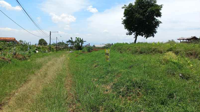 murahhh harga dibawah pasar kavling setiabudi regency