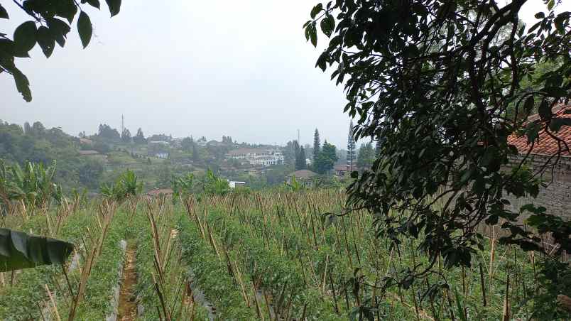 murahhh harga dibawah pasar kavling setiabudi regency