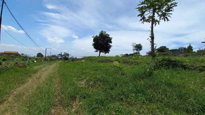 murahhh harga dibawah pasar kavling setiabudi regency