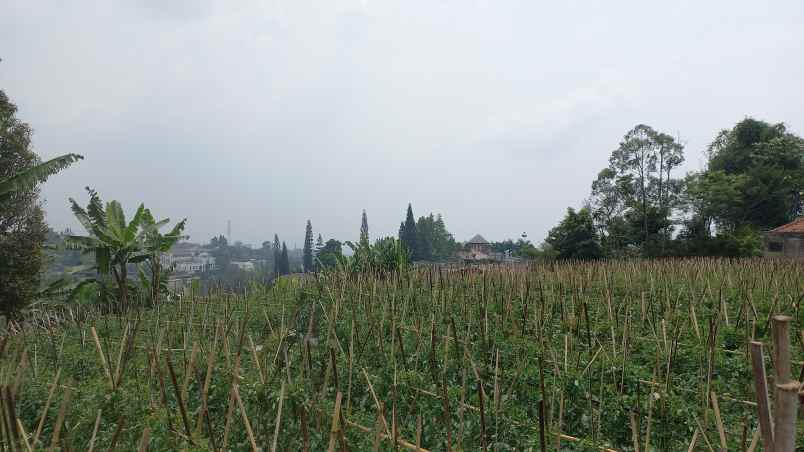 murahhh harga dibawah pasar kavling setiabudi regency