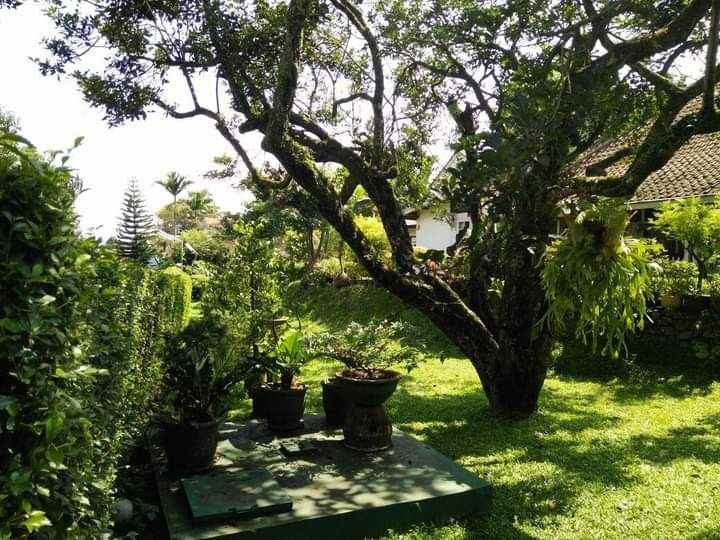 rumah bukit dago selatan