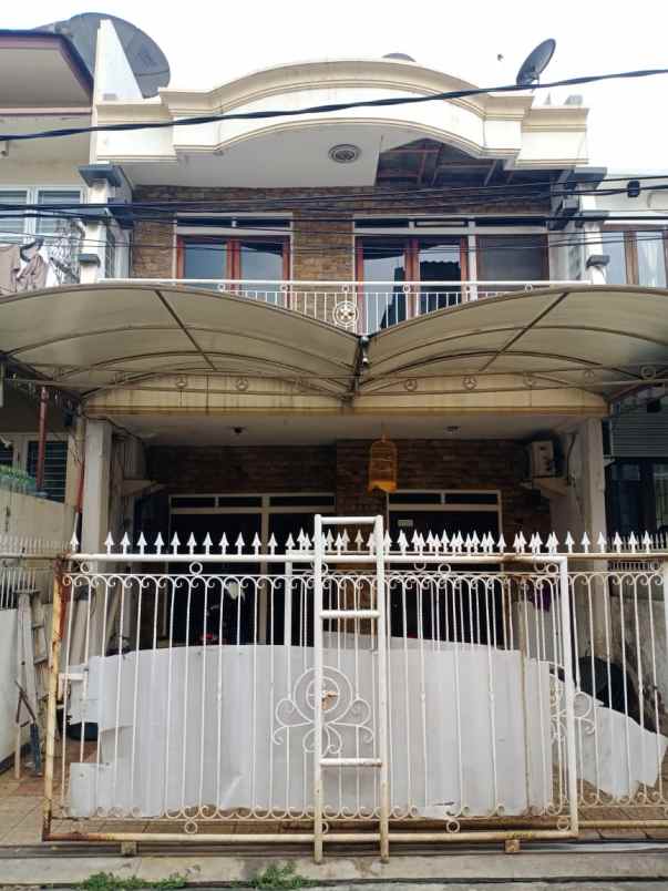 rumah kelapa hybrida kelapa gading