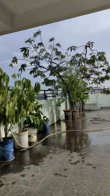 rumah lt 150 m2 di cempaka putih jakarta pusat murah