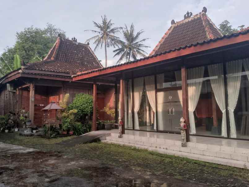 rumah murah dijual cepat shm di sedayu bantul