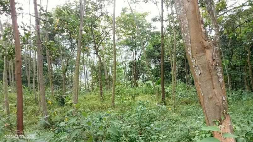 tanah 10 ha buat villa cafe loji karawang